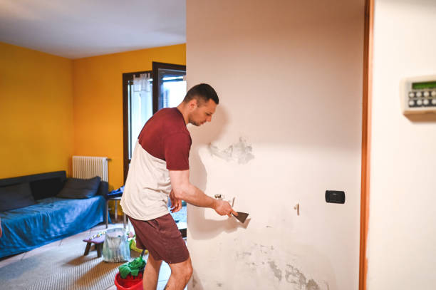 Best Post-Remediation Services in Courtland, VA
